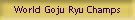 World Goju Ryu Champs